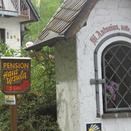 Pension Haus Ursula Koblenc Exteriér fotografie