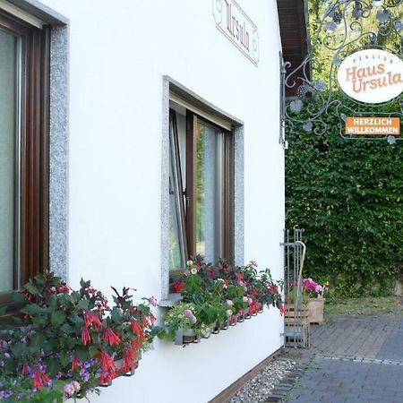 Pension Haus Ursula Koblenc Exteriér fotografie
