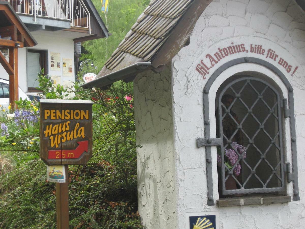 Pension Haus Ursula Koblenc Exteriér fotografie