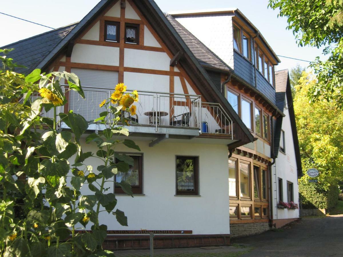 Pension Haus Ursula Koblenc Exteriér fotografie